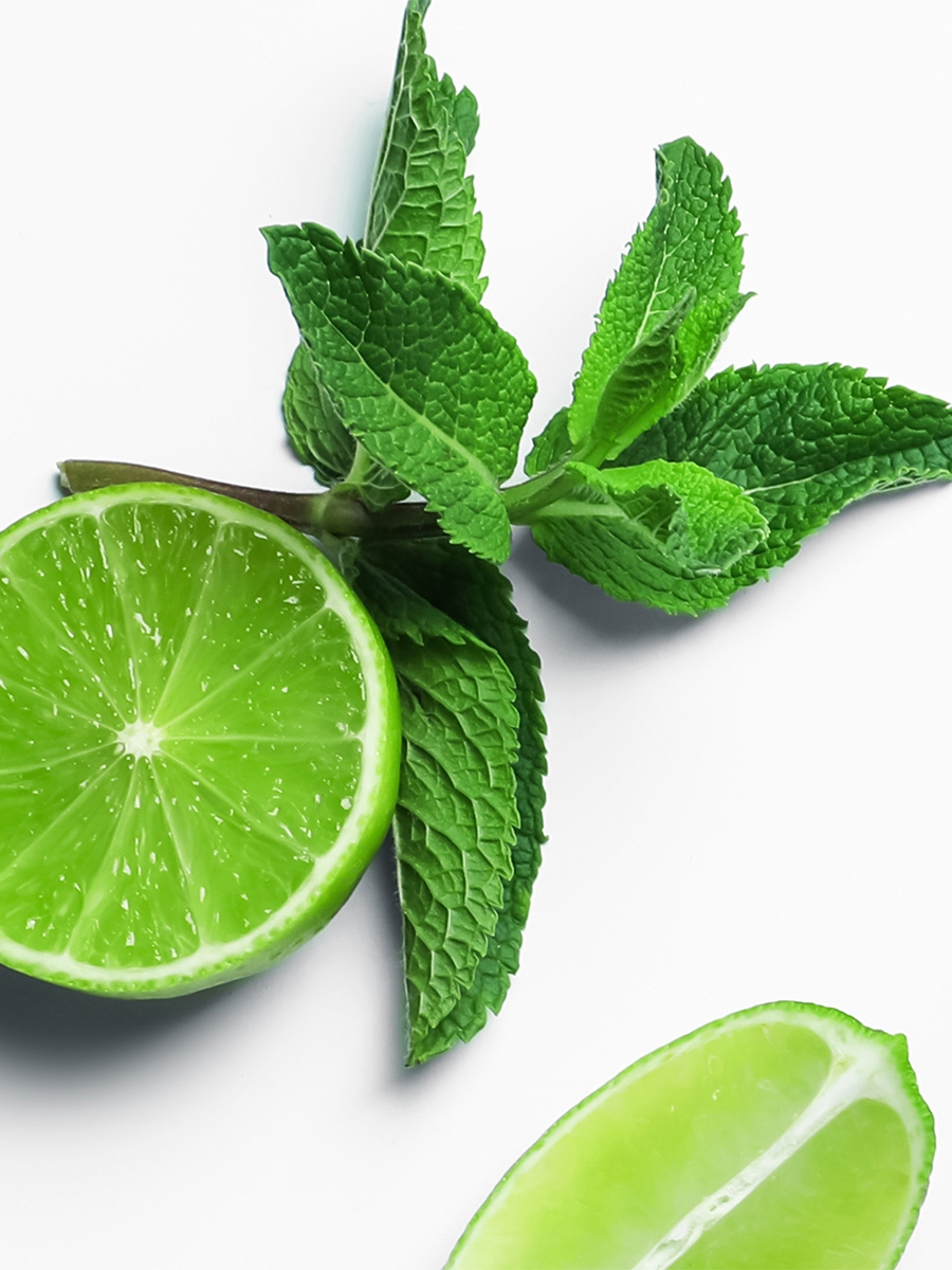 Vestige Refill Citrus and Mint - 500 ml